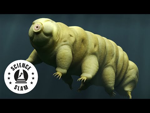 YouTube-Video-Thumbnail