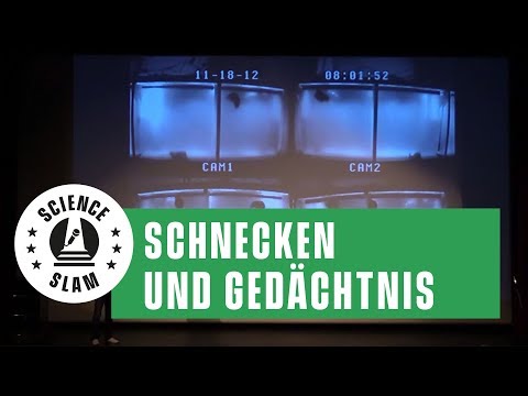 YouTube-Video-Thumbnail