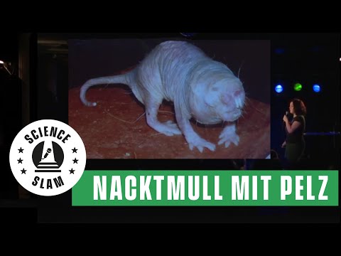 YouTube-Video-Thumbnail