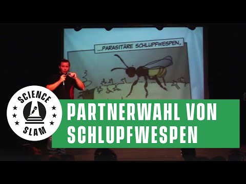 YouTube-Video-Thumbnail