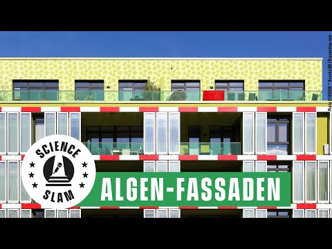 YouTube-Video-Thumbnail